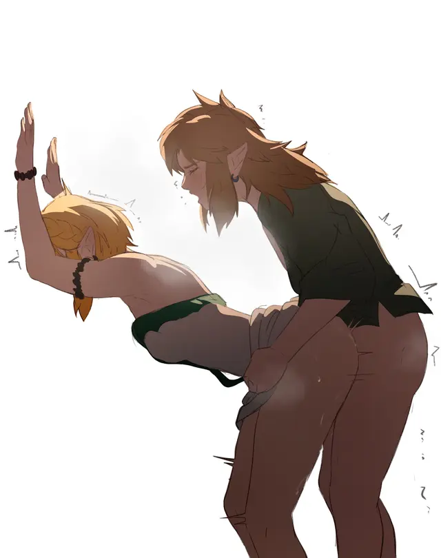 Link, Princess Zelda (Nintendo, Tears Of The Kingdom) by Pomelomelon