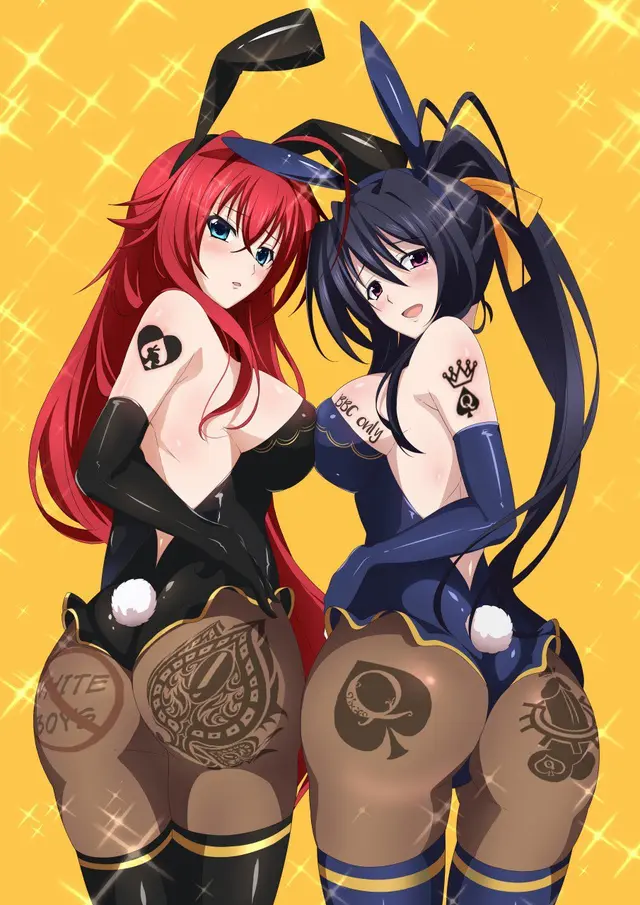 Akeno Himejima (Blacked)